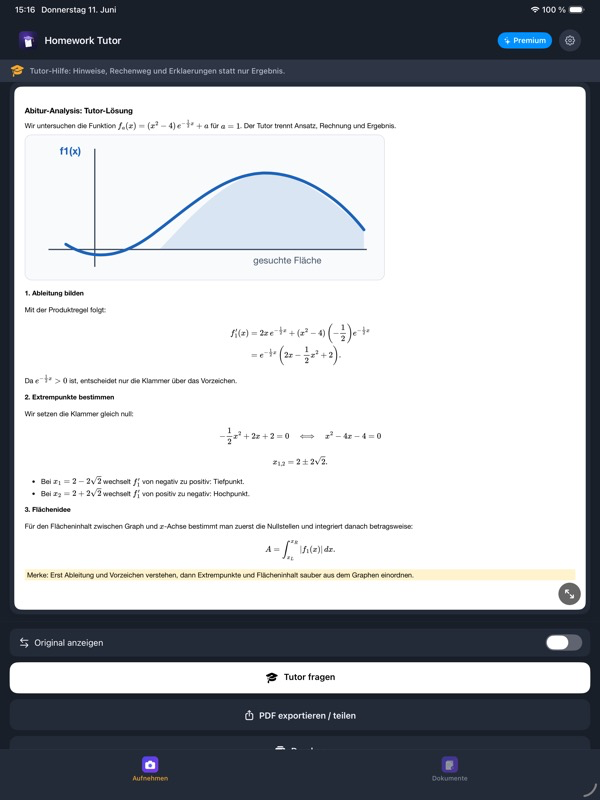 Homework Tutor iPad Ergebnis mit LaTeX-Formeln und Graph