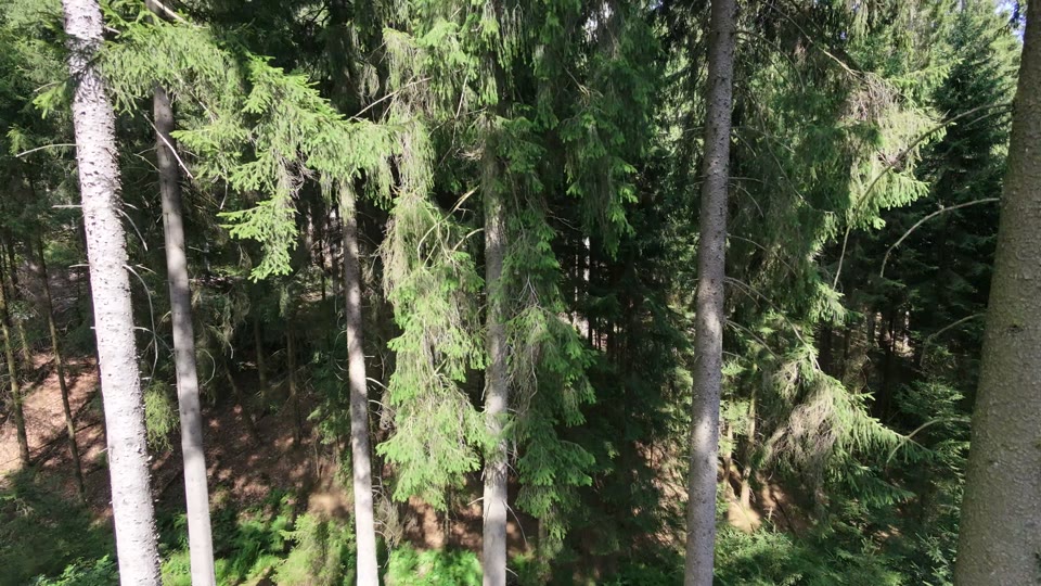 Drone video frame